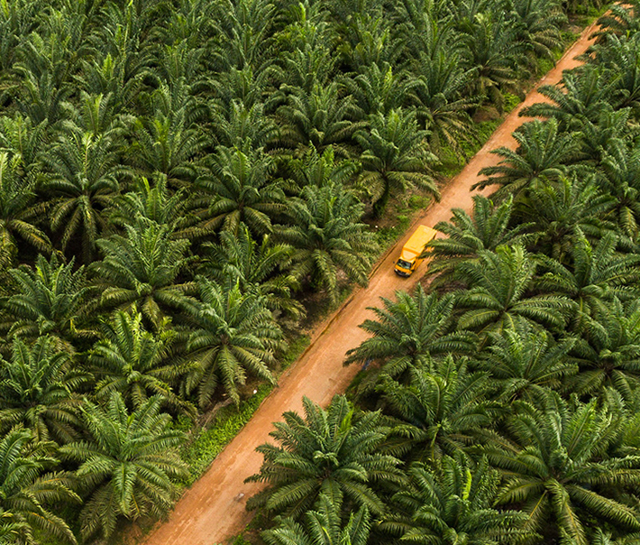 Editorial InvestorOne